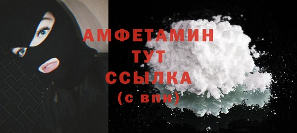 шишки Пестово