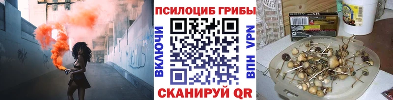 Галлюциногенные грибы мицелий хочу Мещовск