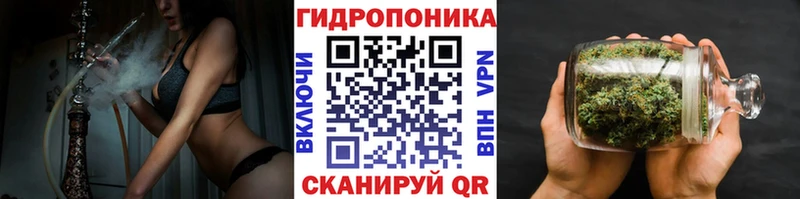блэк спрут вход  как найти закладки  Мещовск  Канабис Amnesia 